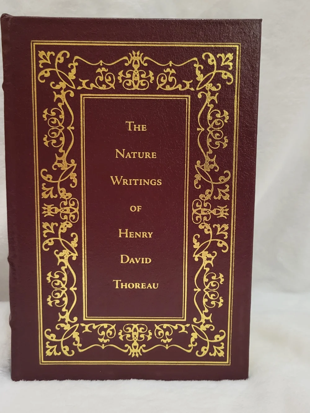 Vintage Tally Hall Press edition of The Nature Writings of Henry David Thoreau